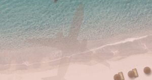 organizar el trabajo antes de vacaciones